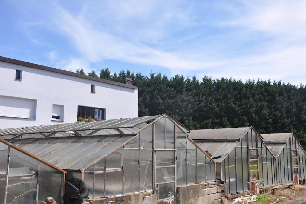 Gite St Nicolas Ancien Corps De Ferme Horticole Freyming-Merlebach Eksteriør bilde