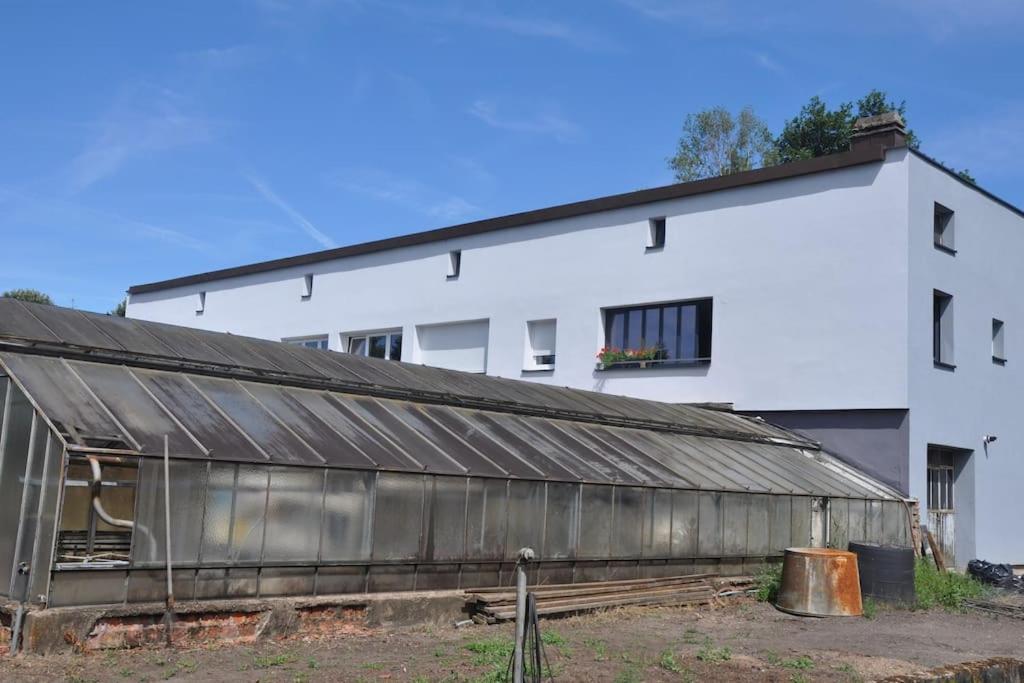 Gite St Nicolas Ancien Corps De Ferme Horticole Freyming-Merlebach Eksteriør bilde