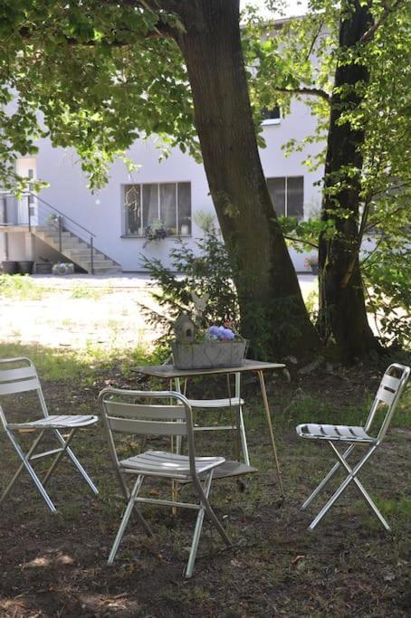 Gite St Nicolas Ancien Corps De Ferme Horticole Freyming-Merlebach Eksteriør bilde